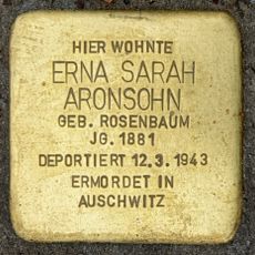 Erna Sarah Aronsohn
