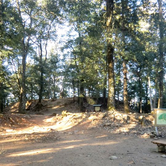 Castillo Yoshida-Kōriyama