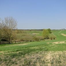 Naturpark Nossentiner/Schwinzer Heide