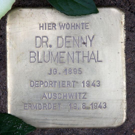 Stolperstein dedicated to Dr. Denny Blumenthal