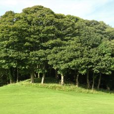 Castle Hill, Caprington