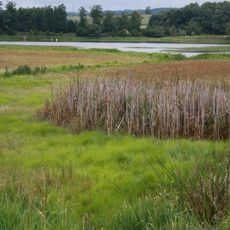 Ptáčovské rybníky