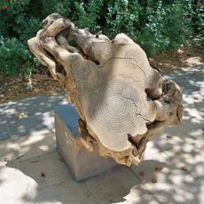 Raíces de Churriana