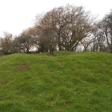 Bowl barrow on Springhead Hill, 750m SSW of Springhead Farm