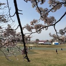 村松公園