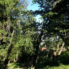 Park kultury i vidpochynku