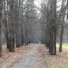 Елизаветинская аллея (Трудовая ул.)