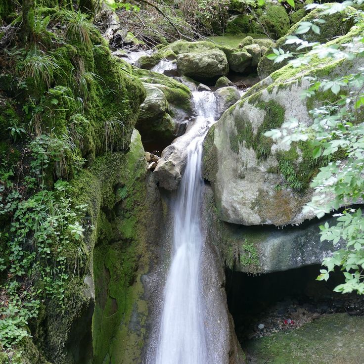 Twannbachschlucht