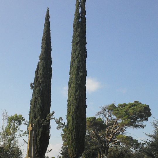 Monument als Caiguts