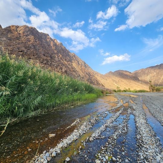 Wadi Al Abyadh