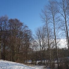 Feldgehölz nördlich des Mühlenberges