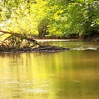 Ashland