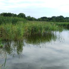 Torfowiska
