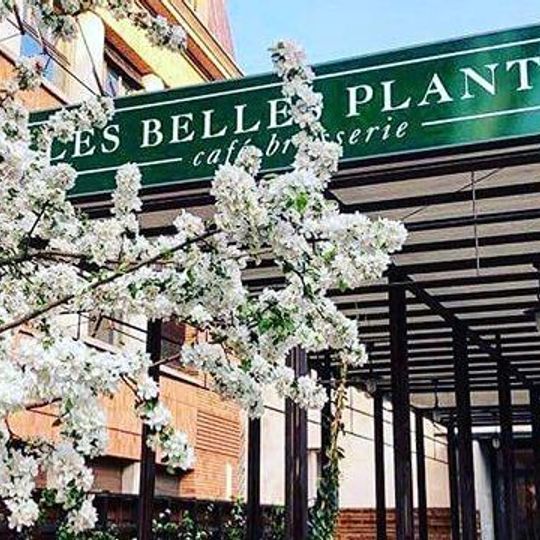 Les Belles Plantes