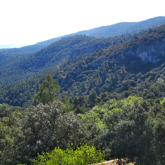 Carrascal de la Font Roja Natural Park