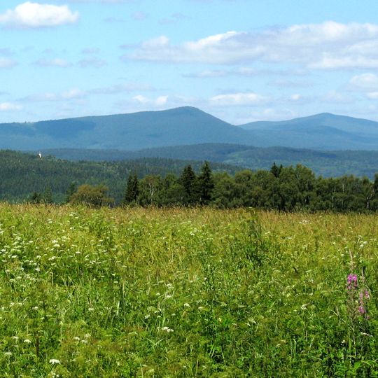 Rezerwat przyrody Milešický prales