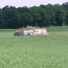Dolmen de la Mouise-Martin