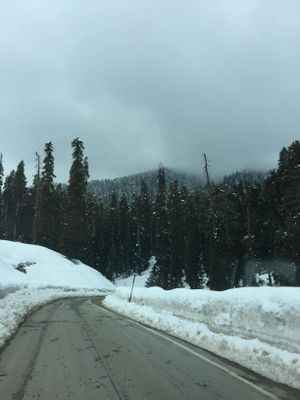 Winter 2