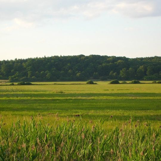 Nature reserve Las Minikowski