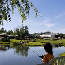 Old McDebbie's Farm