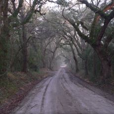 Wescott Road