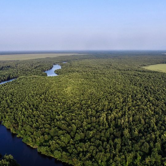 Parco nazionale di Kolkheti