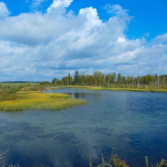 Oredezh River source at Dontzo