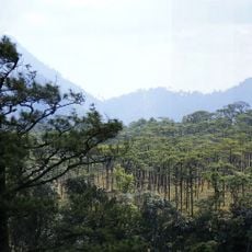 Parc national de Phu Soi Dao