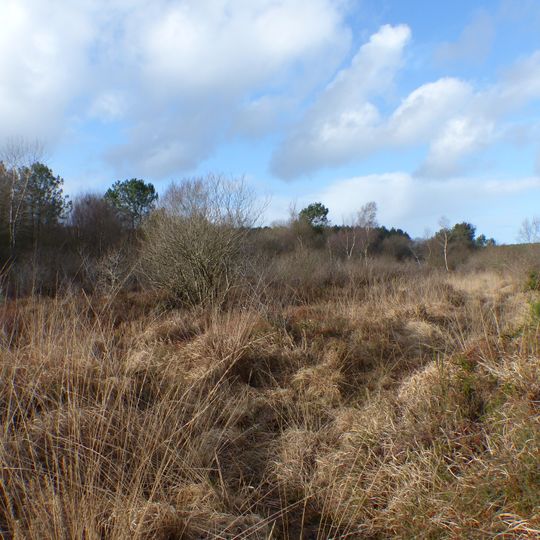 Tourbière de Kerfontaine