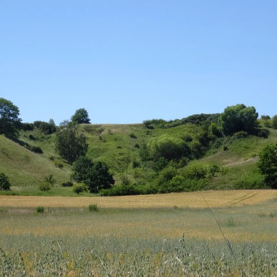 Nature reserve Ostnicowe Parowy Gruczna