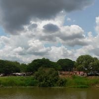 Apure