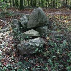 Großsteingrab SÜP 6