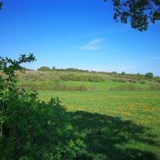 Magerrasen bei Korbach und Dorfitter