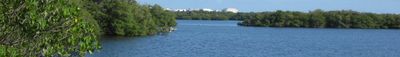 Panoramic View 1