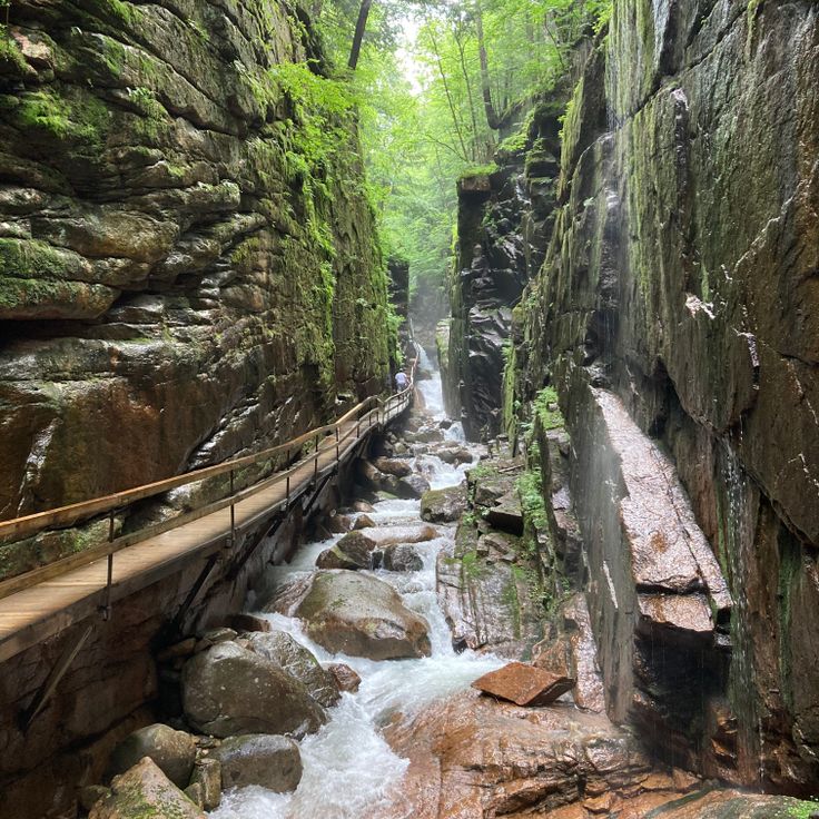 Garganta Flume