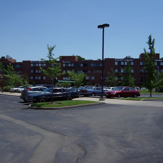 Springdale