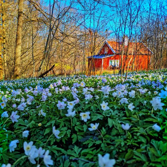 Häggebergs och Granbäcks lövskogar