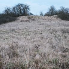 Turmhügel Altenburg (Sulzfeld)