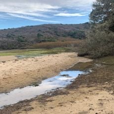 Tomales Beach