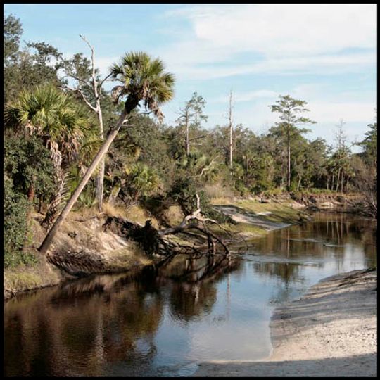 Econlockhatchee River