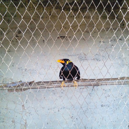 Monoroma Park & Mini Zoo