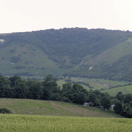 Litlington White Horse