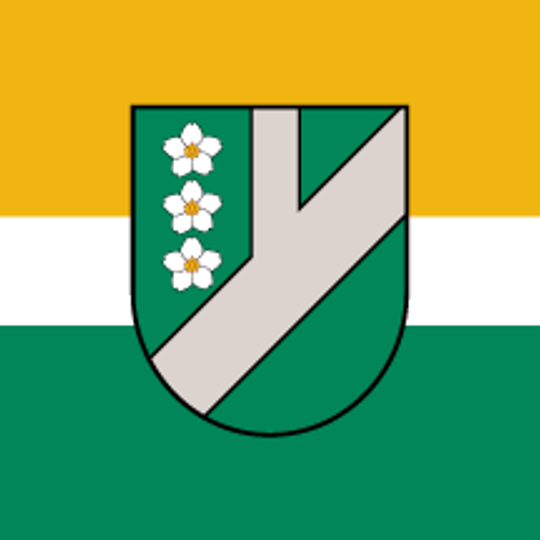 Municipalidad de Pļaviņas