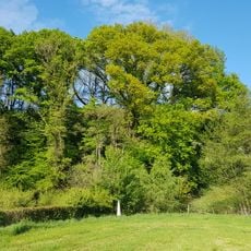 Belgium-Netherlands boundary stone no. 17
