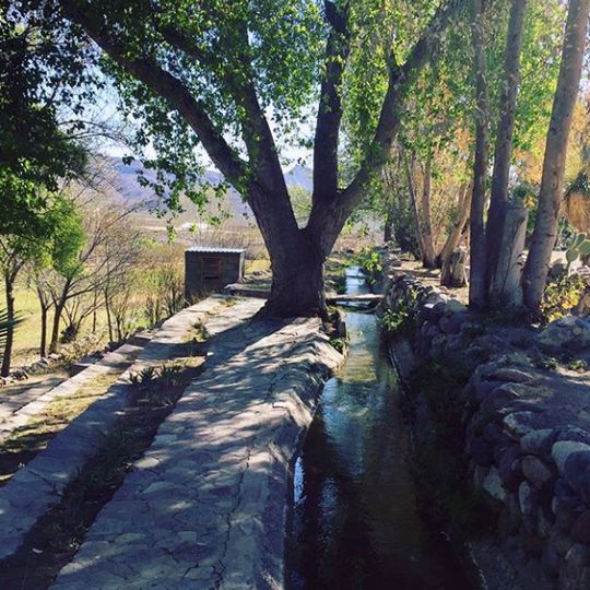 Manuel Benavides Municipality