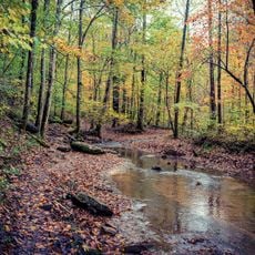 Kanawha State Forest