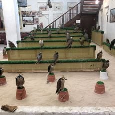 Falcon souq