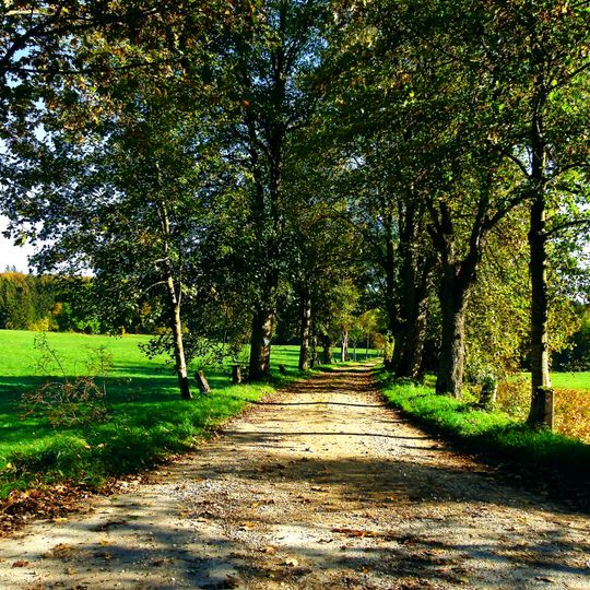 Allee an der alten Straße ins Bärenthal