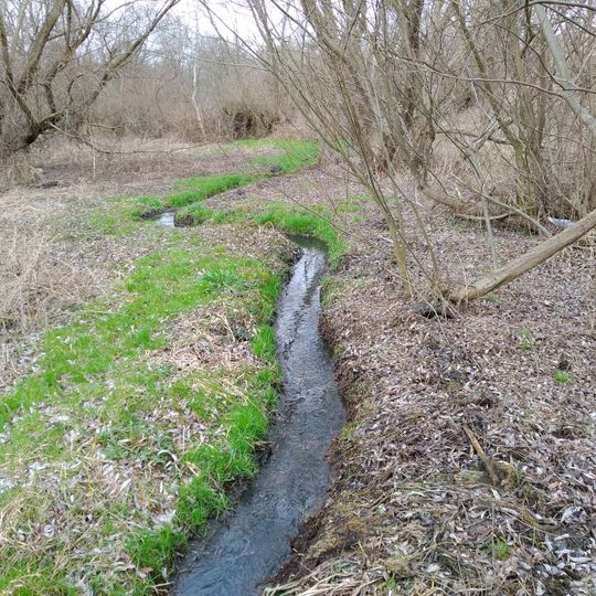 Torfovyshche Bilohorshcha