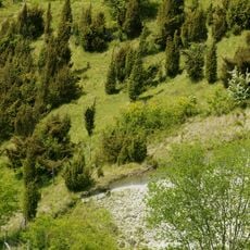 Réserve naturelle régionale des Riez de Nœux-les-Auxi